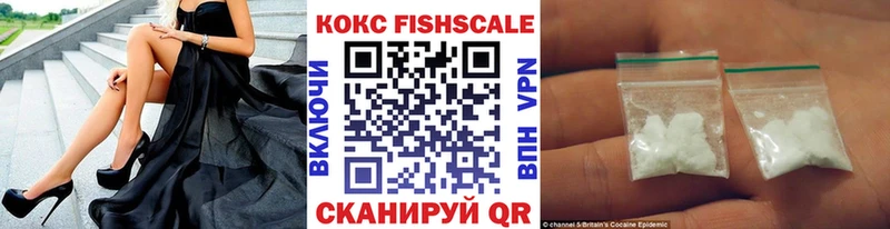 МЕГА tor  сколько стоит  Волхов  Cocaine Fish Scale 