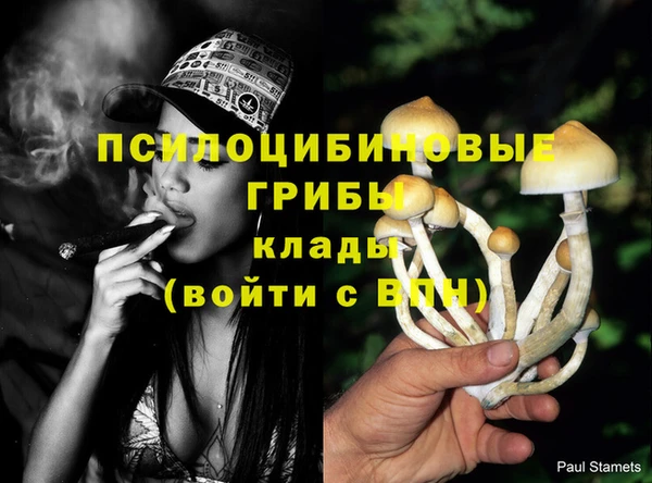 не бодяженный Беломорск