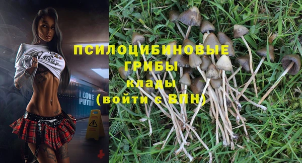 не бодяженный Беломорск