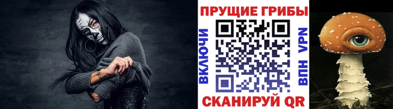 наркошоп  Волхов  Псилоцибиновые грибы ЛСД 